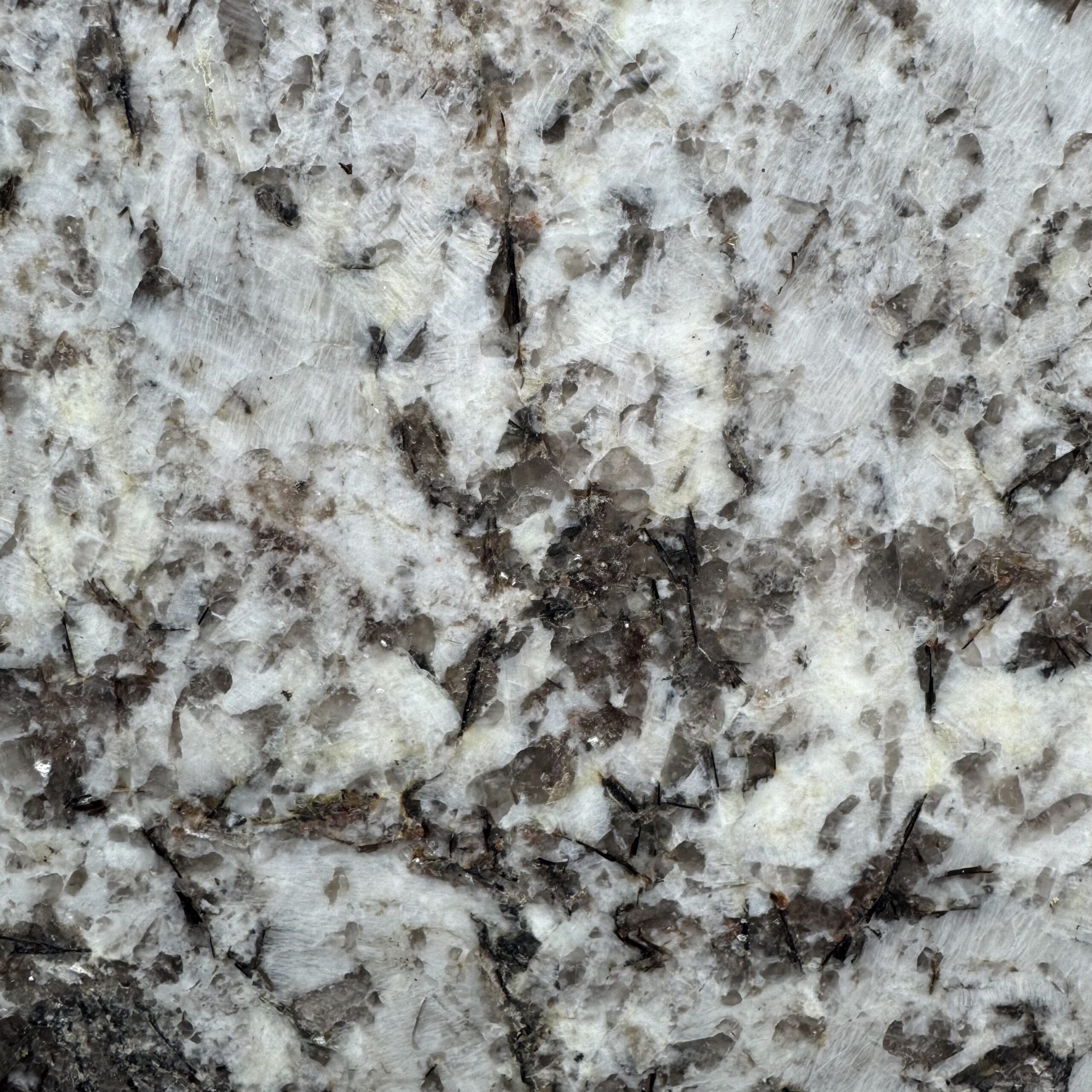 Bianco Antico