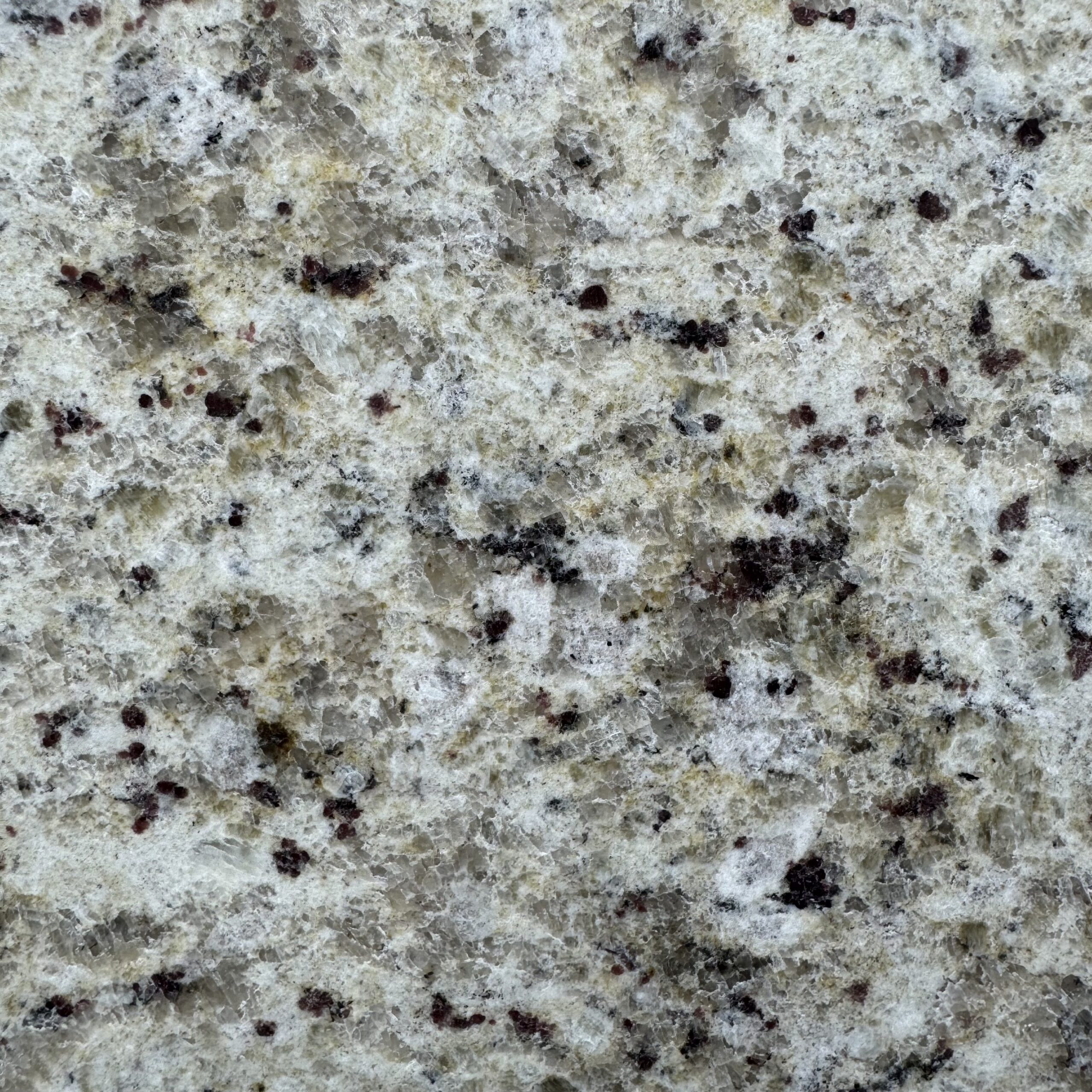 Giallo Ornamental