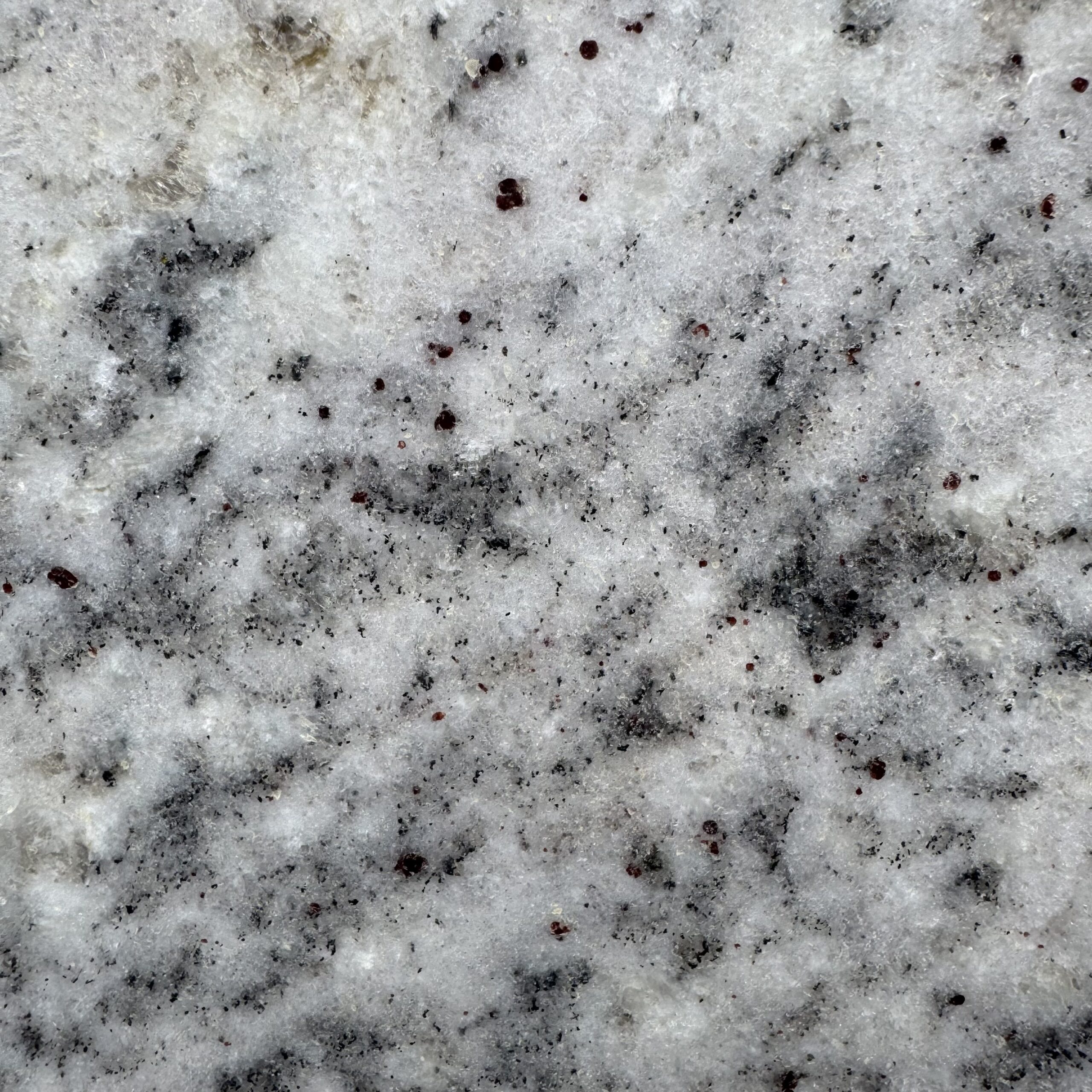 Salinas White